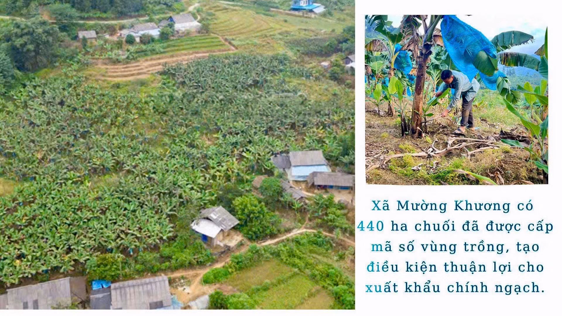 z7258615302133-55e3a51776fd3190cc53cf6366e03e7f.jpg