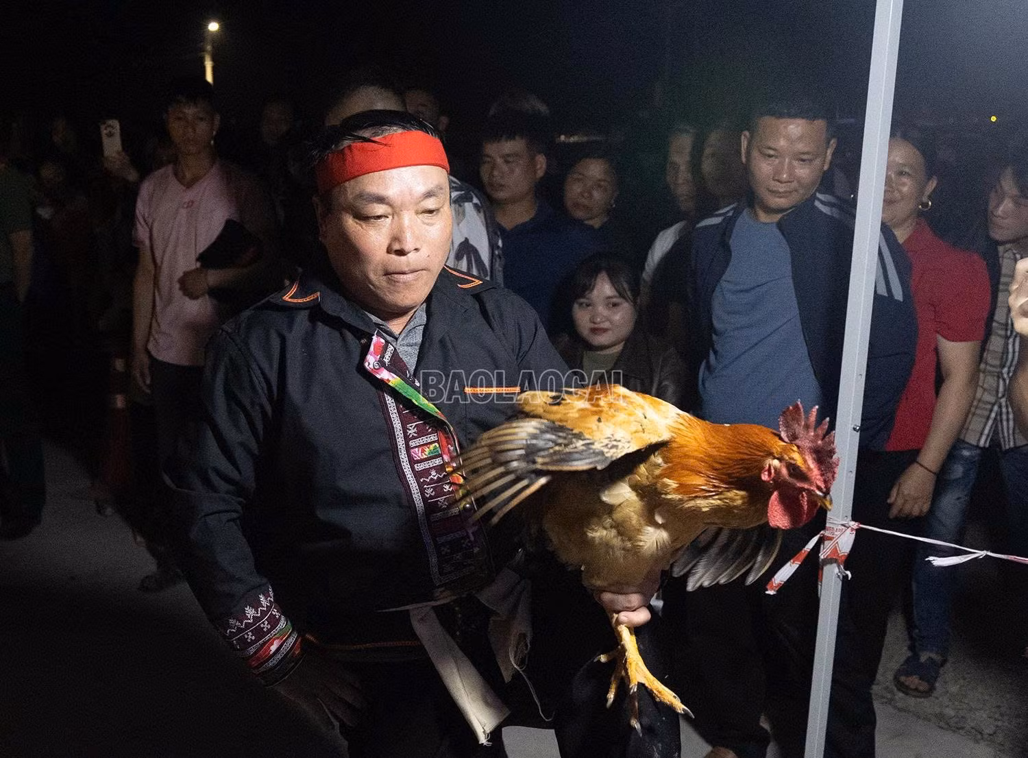 baolaocai-c_z7580726692774-f04b5edbdf6e66136c583eff01d35c31.jpg