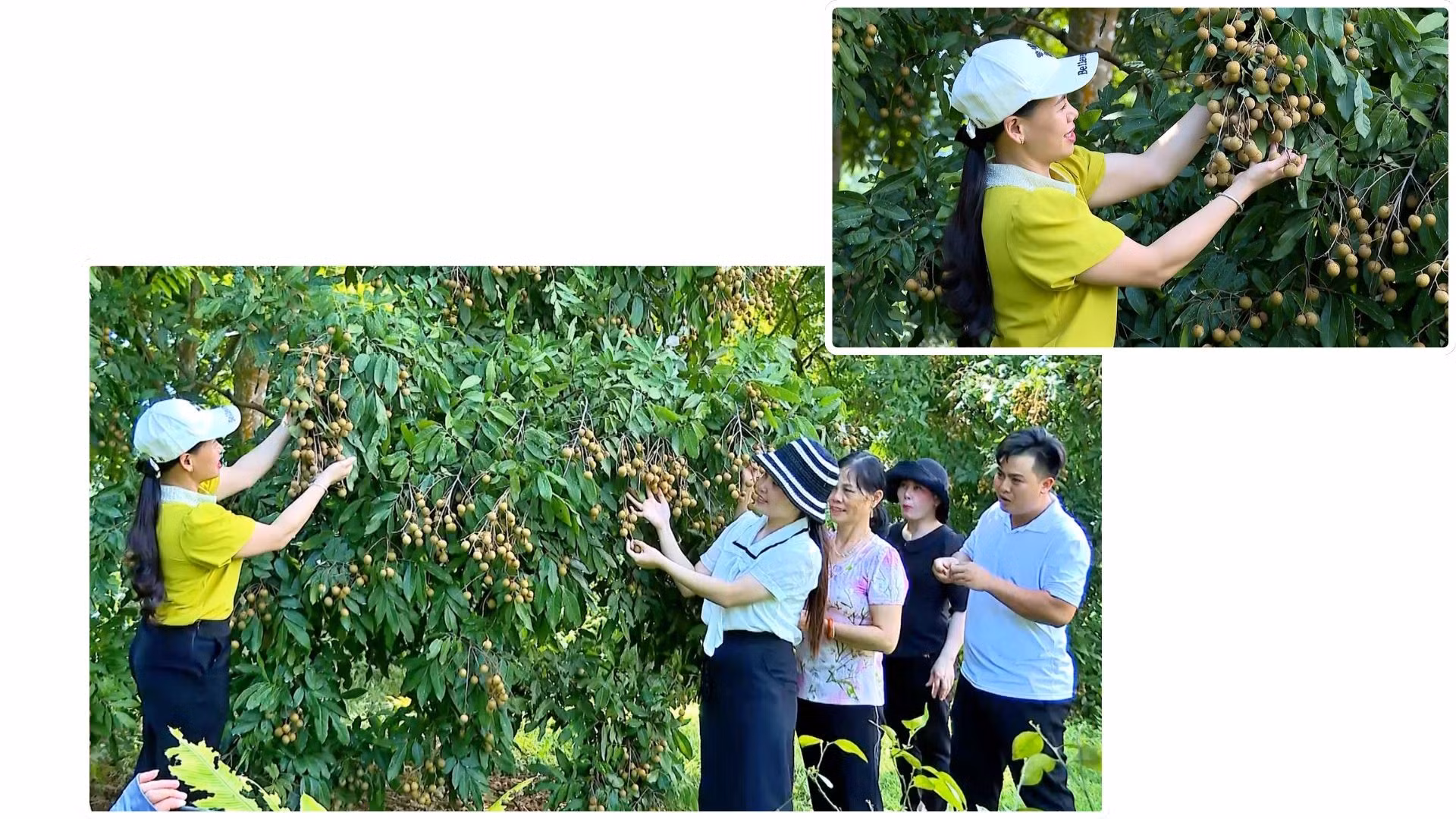 Nhiều mô hình phát triển kinh tế hiệu quả tại phường Trung tâm đem đến cuộc sống ấm no, hạnh phúc cho người dân.
