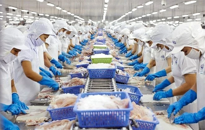 Xuất khẩu phục hồi trong năm 2024.