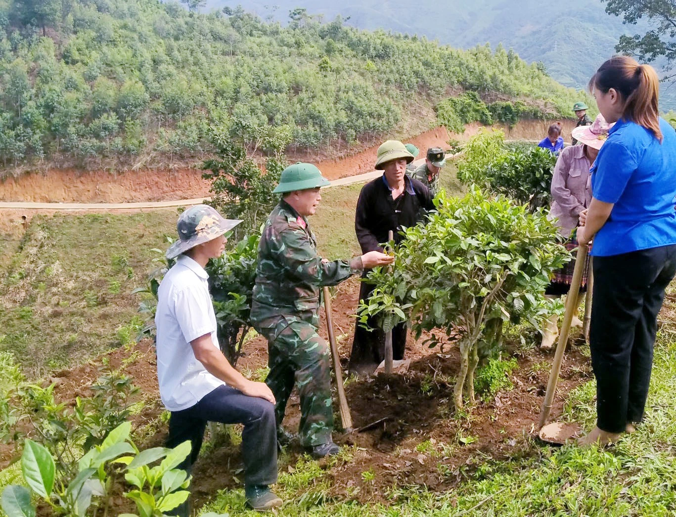 huong-dan-nhan-dan-ky-thuat-cham-soc-cay-trong.jpg