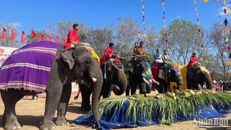 Hội voi Buôn Đôn là một trong những lễ hội đặc sắc vùng Tây Nguyên.