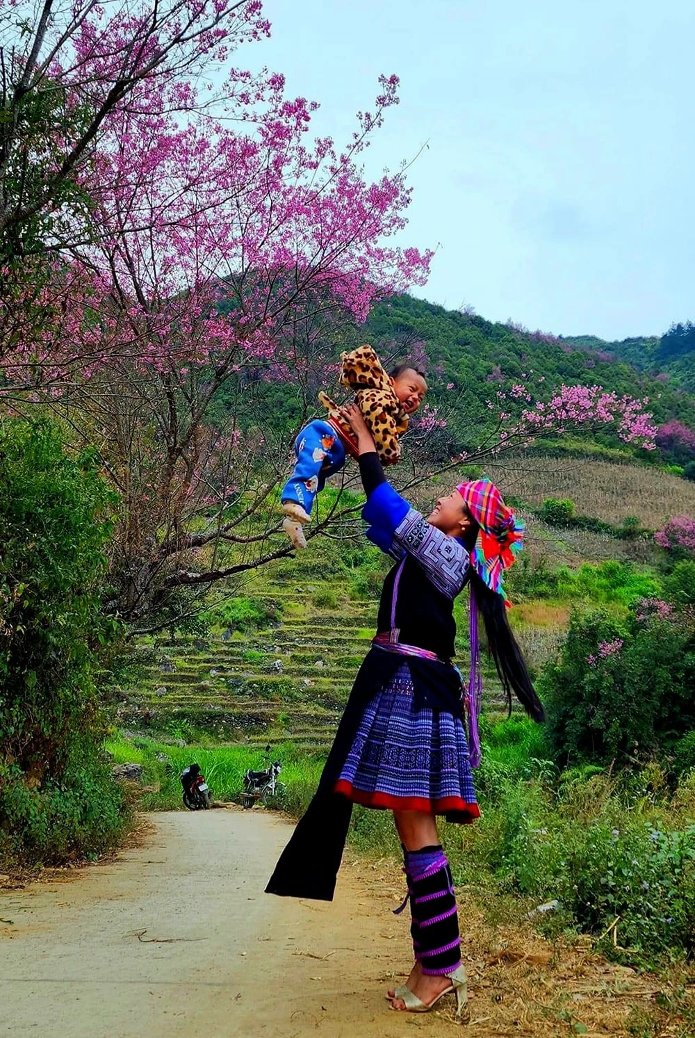 Hoa Tớ dày, sắc thắm như hoa đào, được người dân bản địa Mù Cang Chải rất yêu quý.