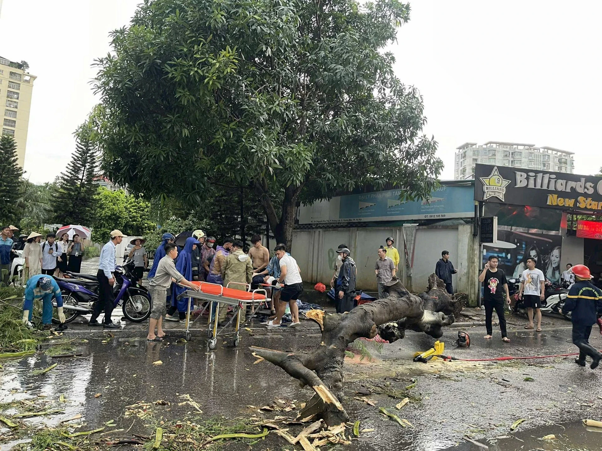 Hiện trường vụ cây phượng bật gốc khiến 2 người thương vong tại phường Hoàng Liệt (Hoàng Mai, Hà Nội) ngày 6/9.