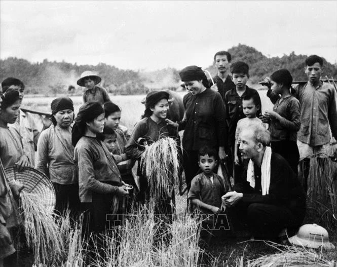 Chủ tịch Hồ Chí Minh thăm nông dân xã Hùng Sơn, huyện Đại Từ (Thái Nguyên) đang thu hoạch vụ lúa mùa đầu tiên sau cải cách ruộng đất (1954). Ảnh tư liệu