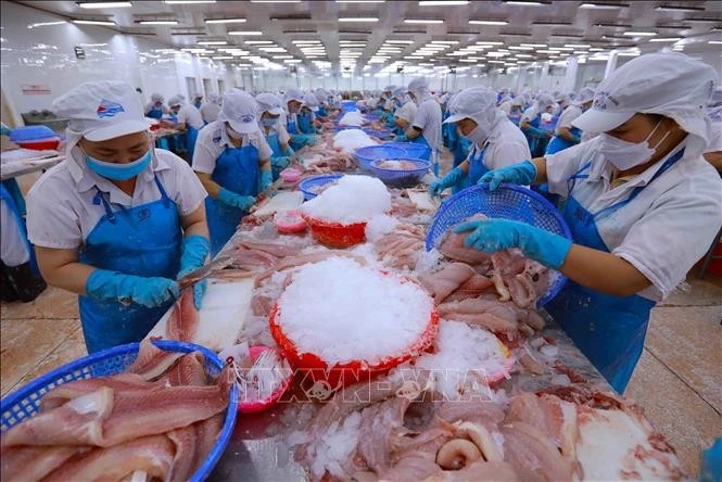 Nâng cao chất lượng sản phẩm, bảo đảm an toàn thực phẩm và minh bạch trong truy xuất nguồn gốc trở nên cấp thiết hơn bao giờ hết.