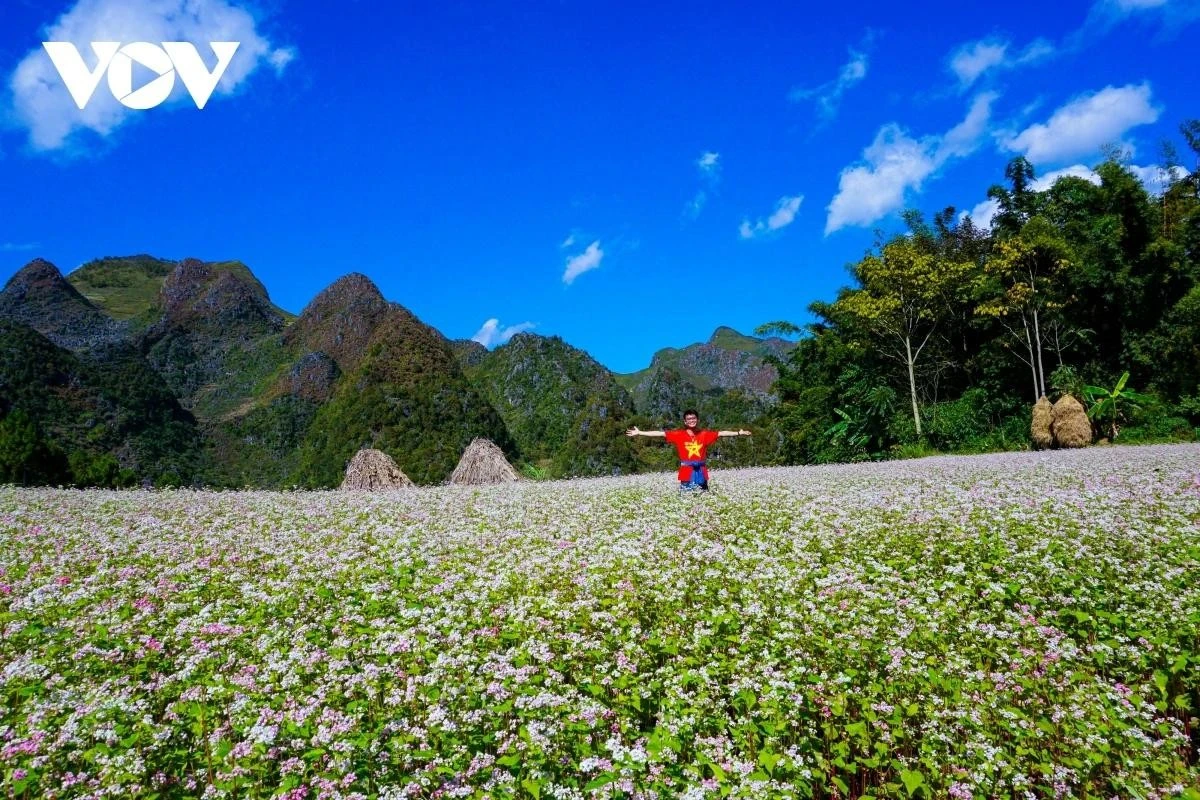 Du khách tại cánh đồng hoa tam giác mạch Hà Giang.