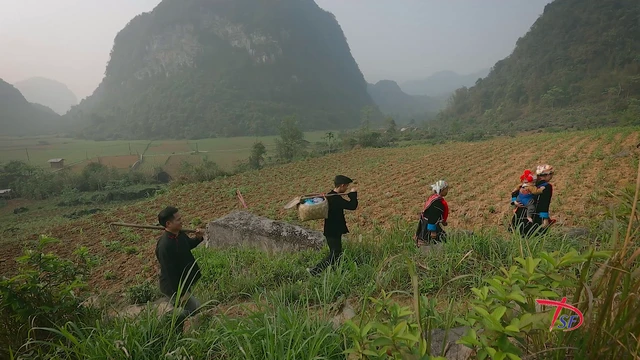 Hình ảnh trong phim tài liệu Đi về phía mặt trời.