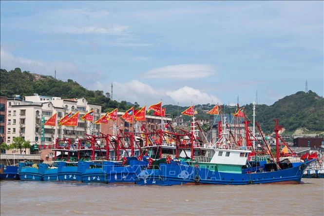 Tàu cá neo đậu tránh bão Bebinca tại cảng ở Chiết Giang, Trung Quốc, ngày 15/9/2024.