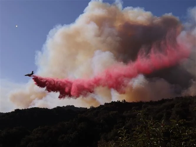 Máy bay dập lửa cháy rừng tại Mandeville Canyon, Los Angeles, California, Mỹ, ngày 11/1/2025.