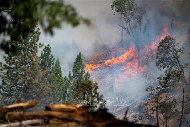 Khói lửa bốc lên từ đám cháy rừng ở bang California, Mỹ ngày 26/7/2024.