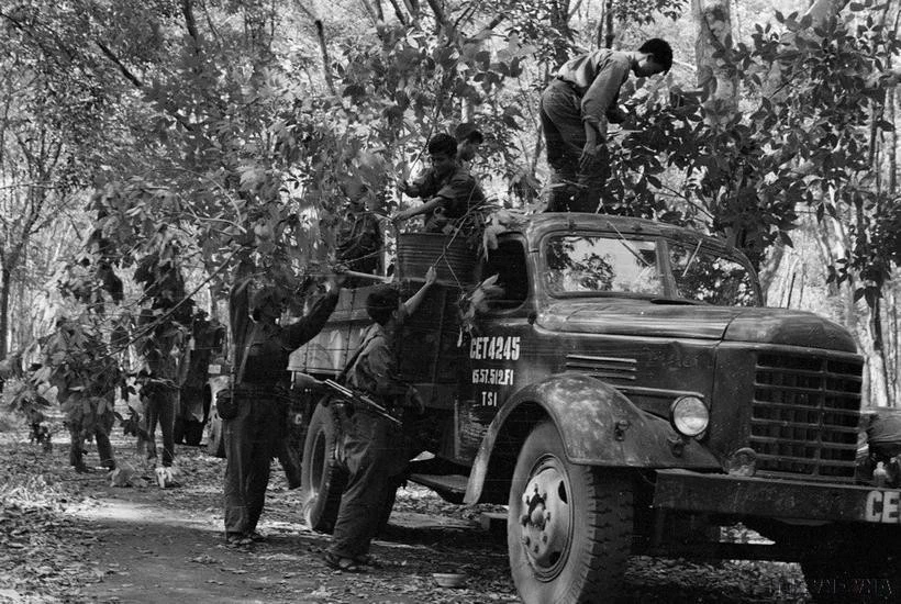 Các chiến sỹ đoàn Khe Sanh ngụy trang xe trước khi tiến công vào Sài Gòn.