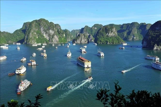 Tại Vịnh Hạ Long, du thuyền là hình thức du lịch truyền thống. Ảnh tư liệu