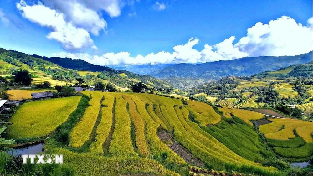 Ruộng bậc thang ở Tả Sử Choóng, huyện Hoàng Su Phì (Hà Giang).