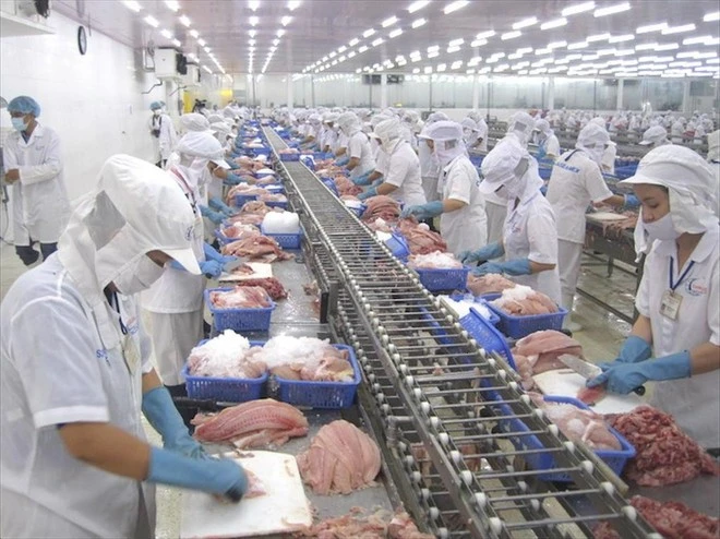 Chế biến thủy sản để xuất khẩu.