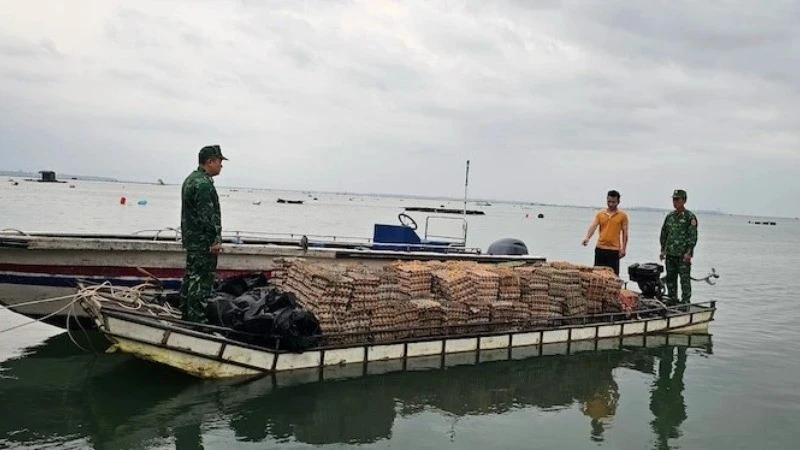 Phương tiện vận chuyển trái phép trứng gia cầm nhập lậu bị Bộ đội Biên phòng Quảng Ninh phát hiện bắt giữ, năm 2024.