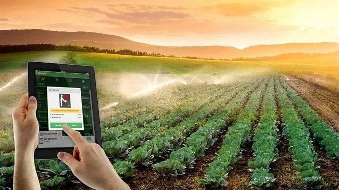 Yêu cầu về chuyển đổi số với khu vực kinh tế Hợp tác xã đang đặt ra nhiều thách thức mang tính thời đại. (Ảnh minh họa).