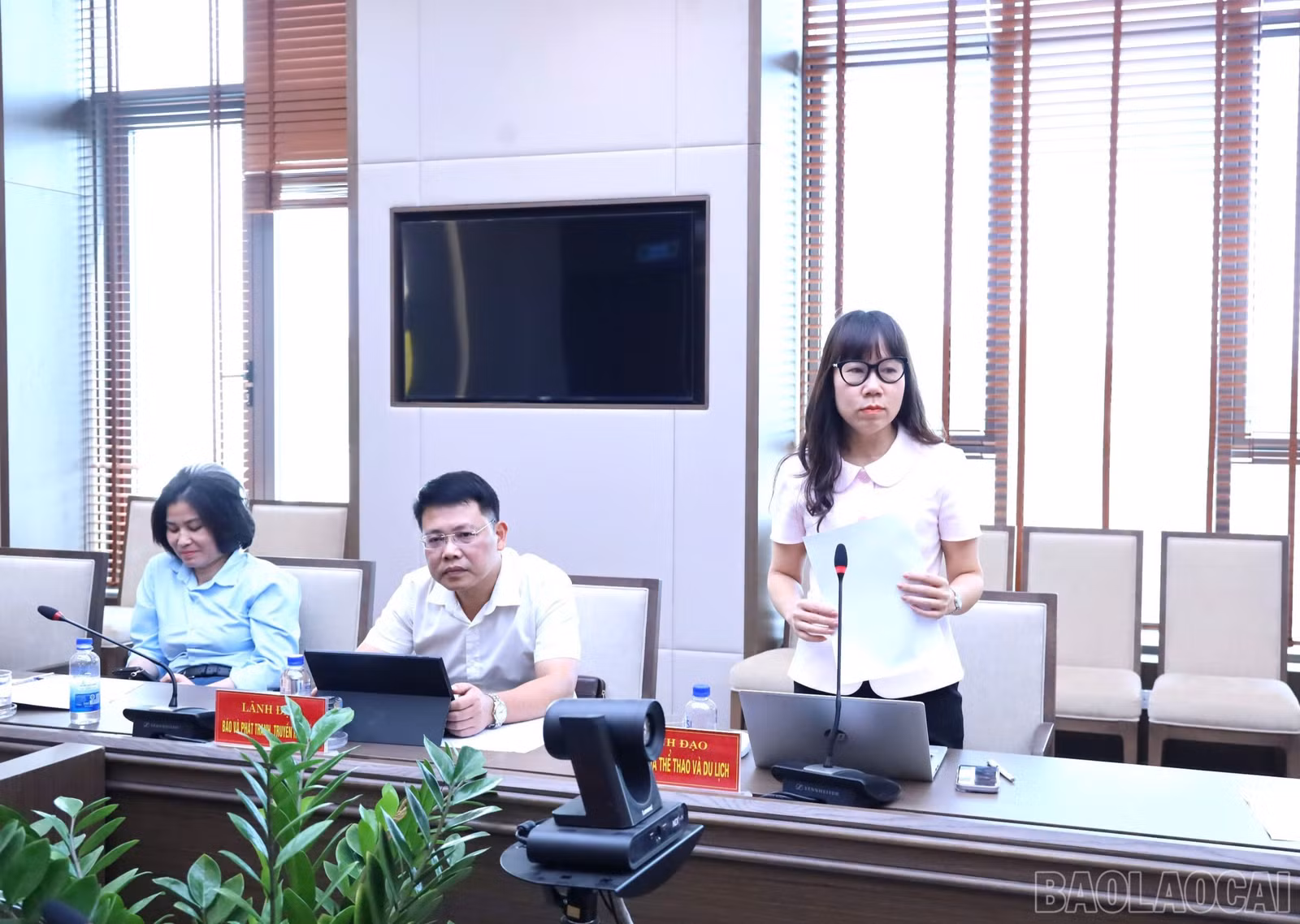 baolaocai-br_z7775099628461-f51aa7ae434443862595db8fa6b99b5e-2204.jpg