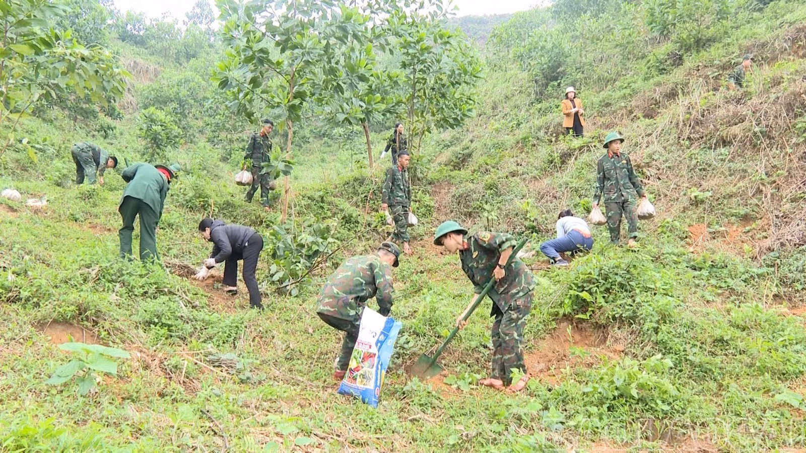 Cán bộ, chiến sĩ Sư đoàn 355 (Quân khu 2) hưởng ứng “Tết trồng cây đời đời nhớ ơn Bác Hồ” Xuân Bính Ngọ năm 2026.