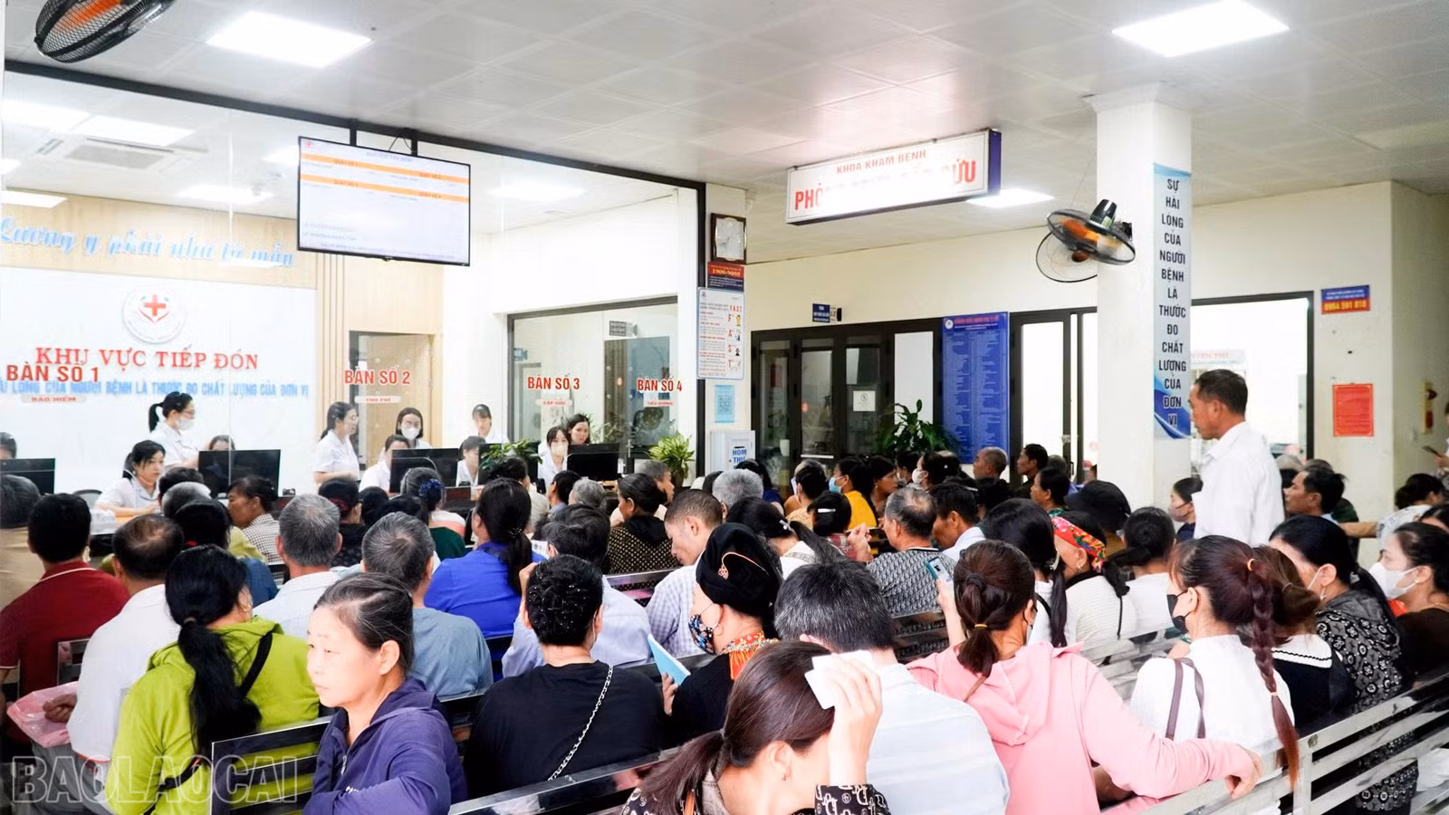 baolaocai-bl_1780626580886-9065681502042445269-9065681502042445269-8d792d46f04ad17755ab0c1e2af8fb20.jpg