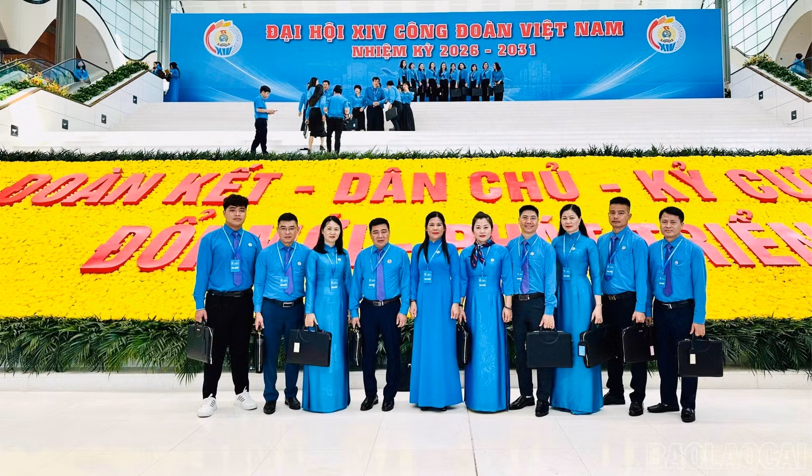 baolaocai-br_anh-dai-dien-3790.jpg