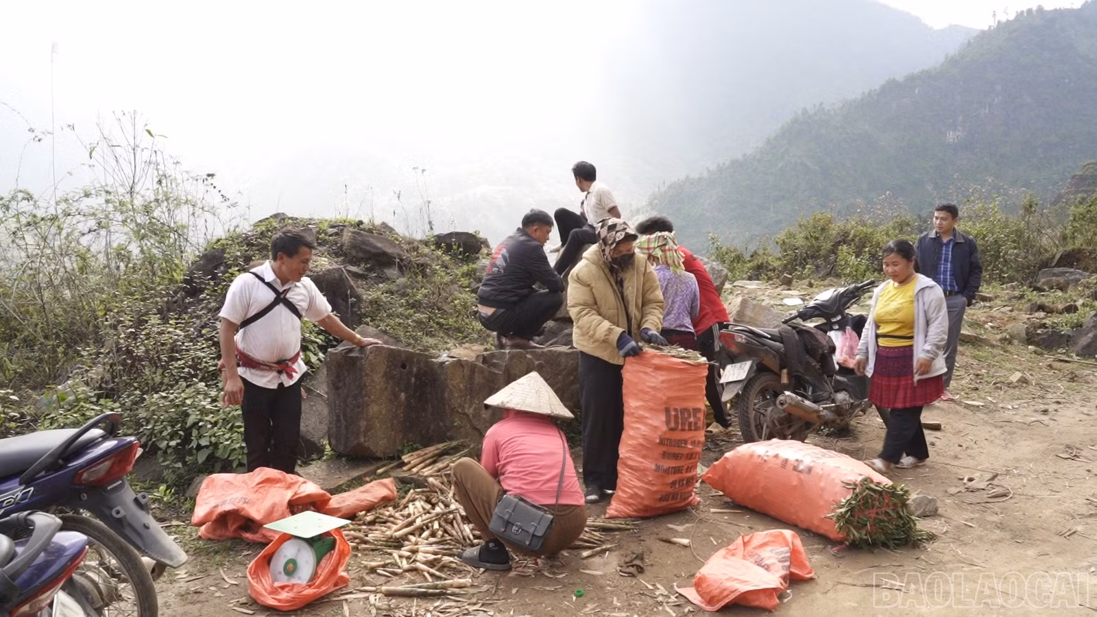 baolaocai-br_sequence-1200-39-52-02still005.jpg