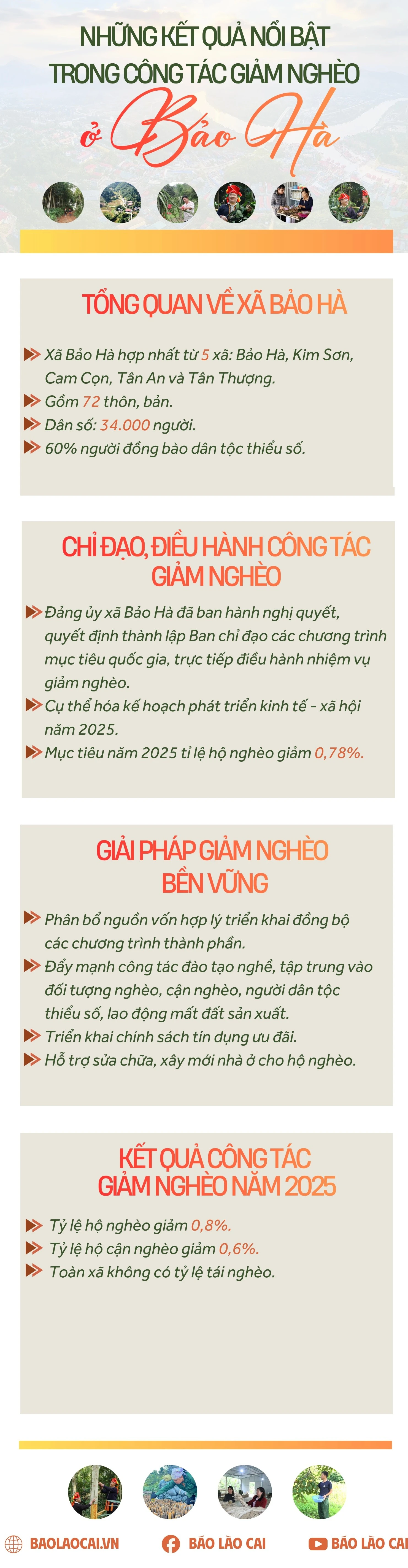 khai-thac-gia-tri-cay-que.jpg