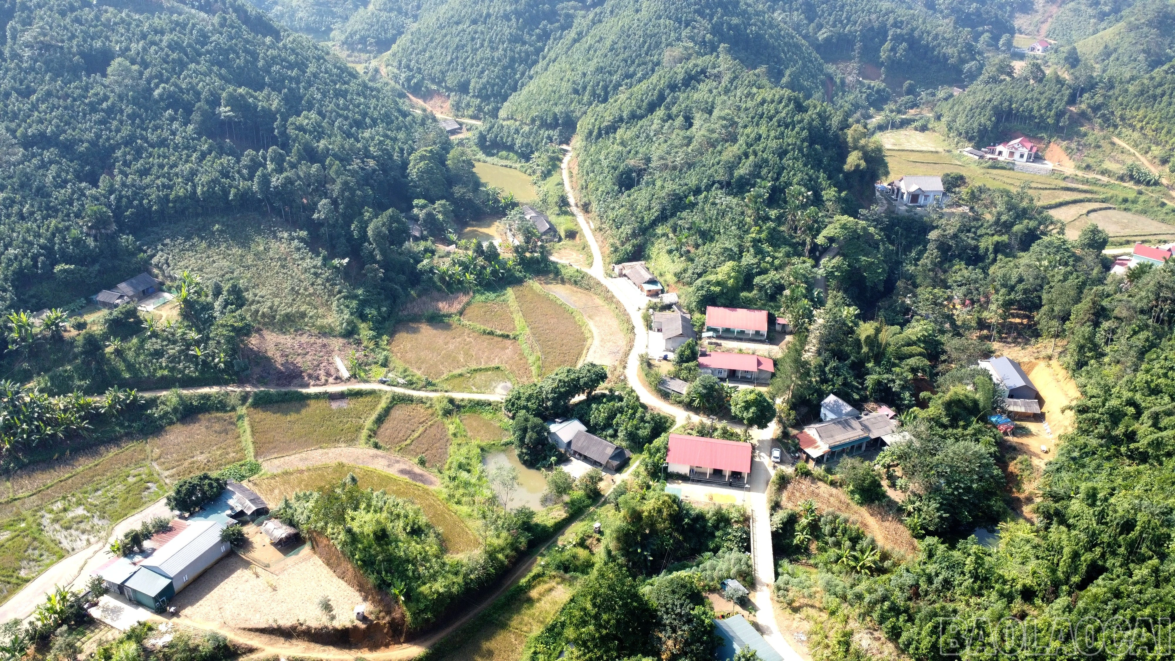 baolaocai-br_img-20251203-213655.jpg