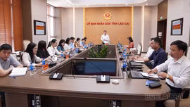 Lào Cai tuyển chọn nhiệm vụ khoa học và công nghệ cấp tỉnh