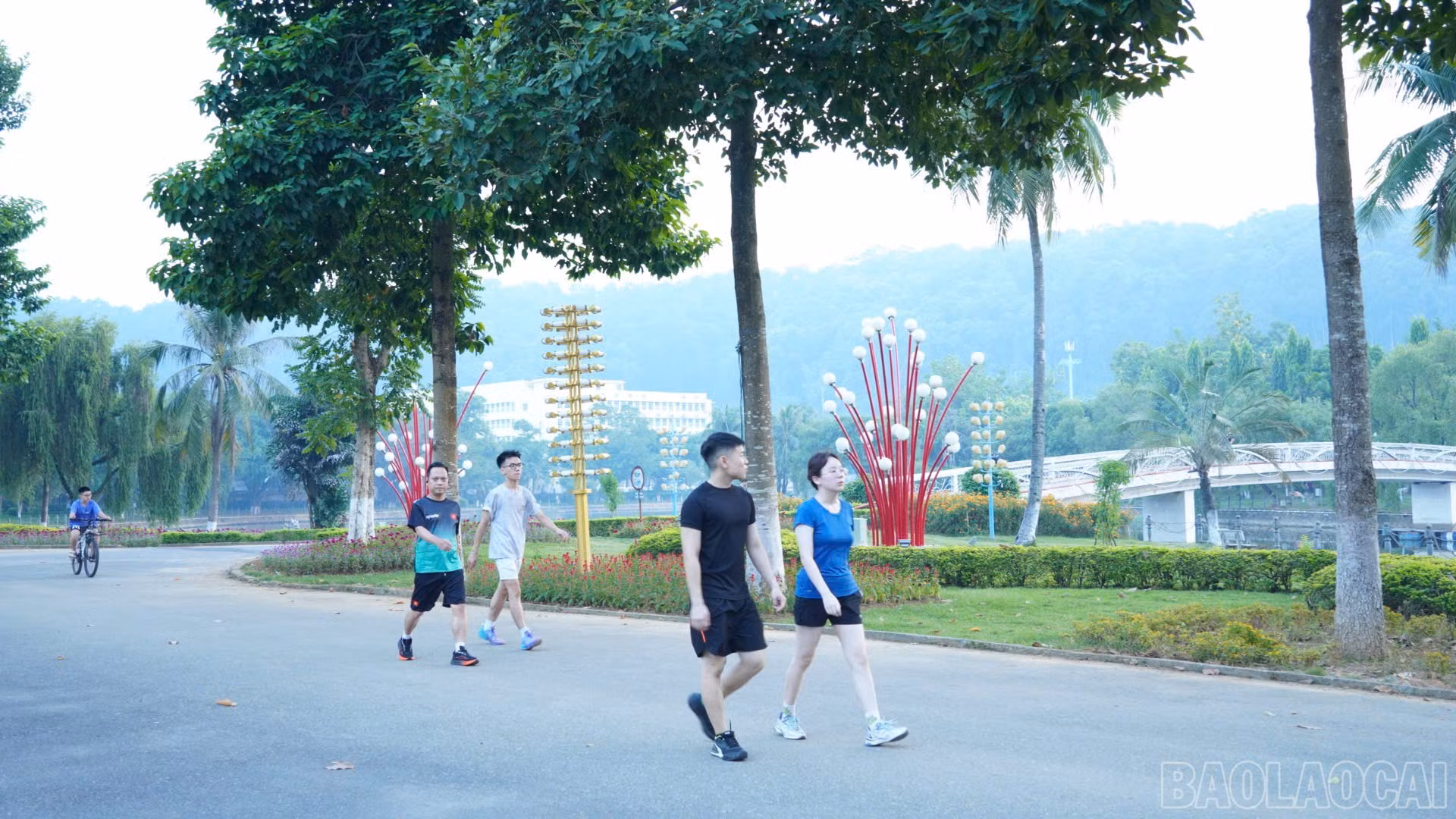 baolaocai-br_f0728f36-10d0-4c22-ad46-fdf68d14fc98.jpg