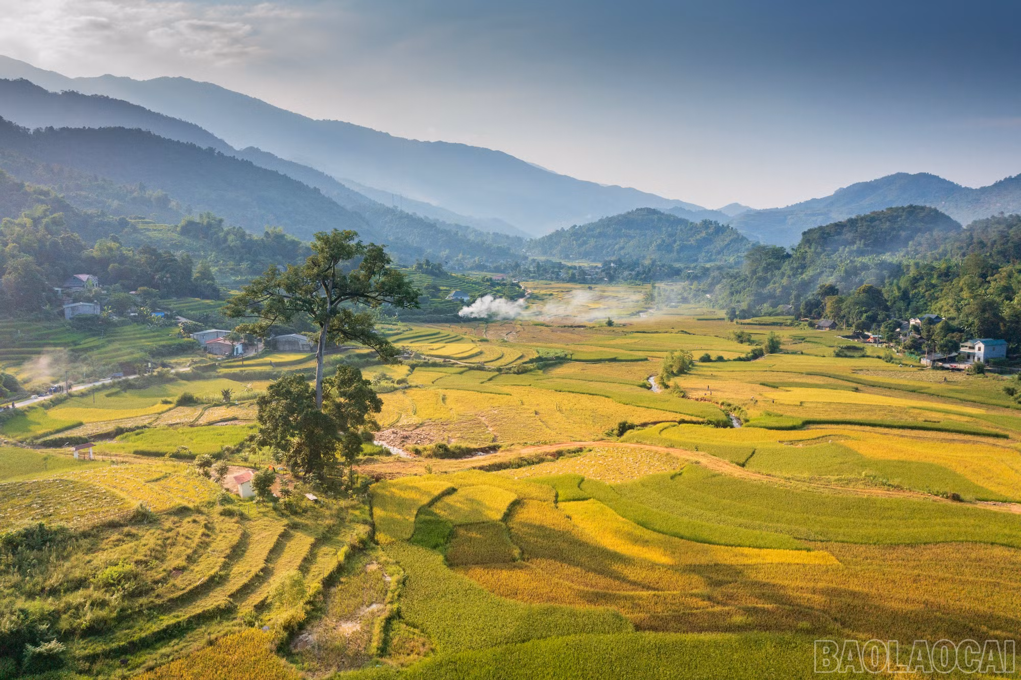 baolaocai-br_dji-0871-copy.jpg