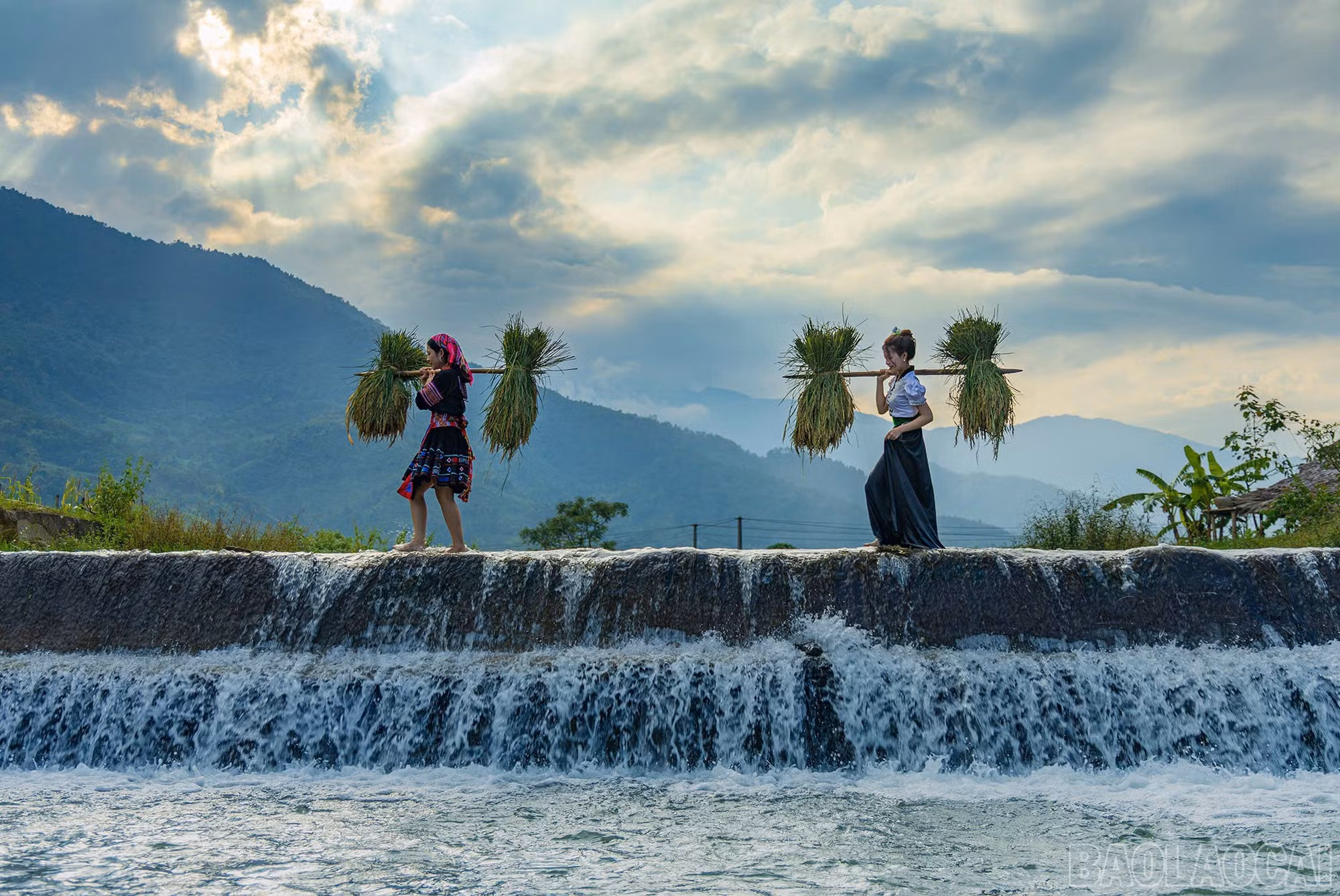 baolaocai-br_19ad3010-f6c5-4350-a40f-870ca5ff7eb8.jpg