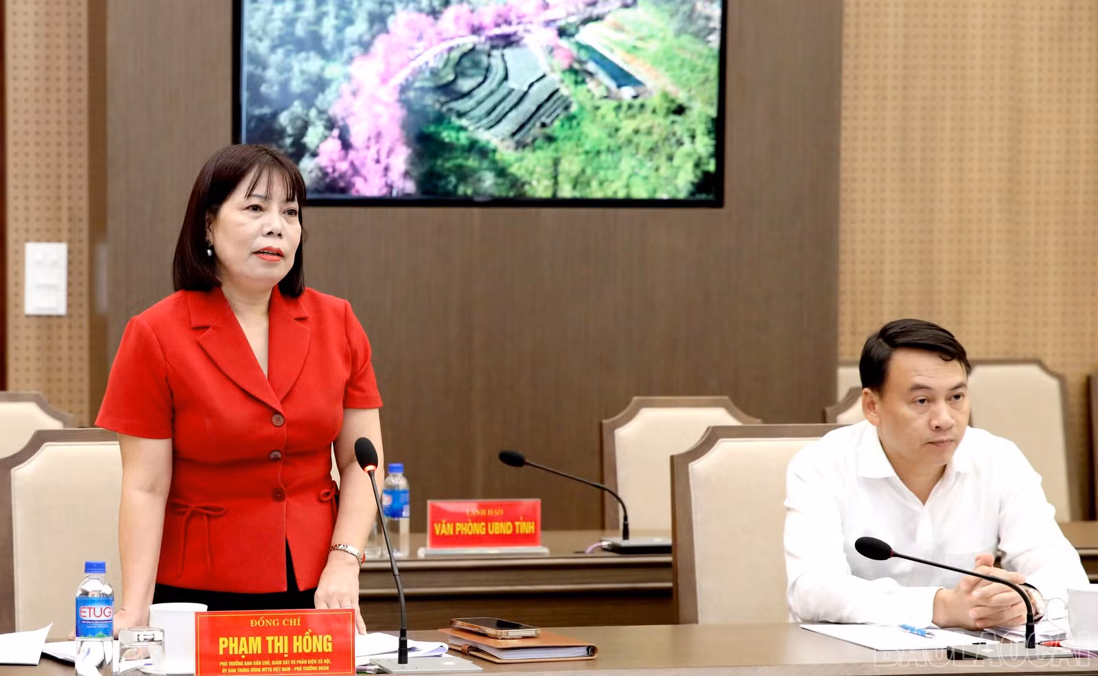 baolaocai-br_z8336263932300-1278485c547d450a4b483ab7a33bedd7.jpg