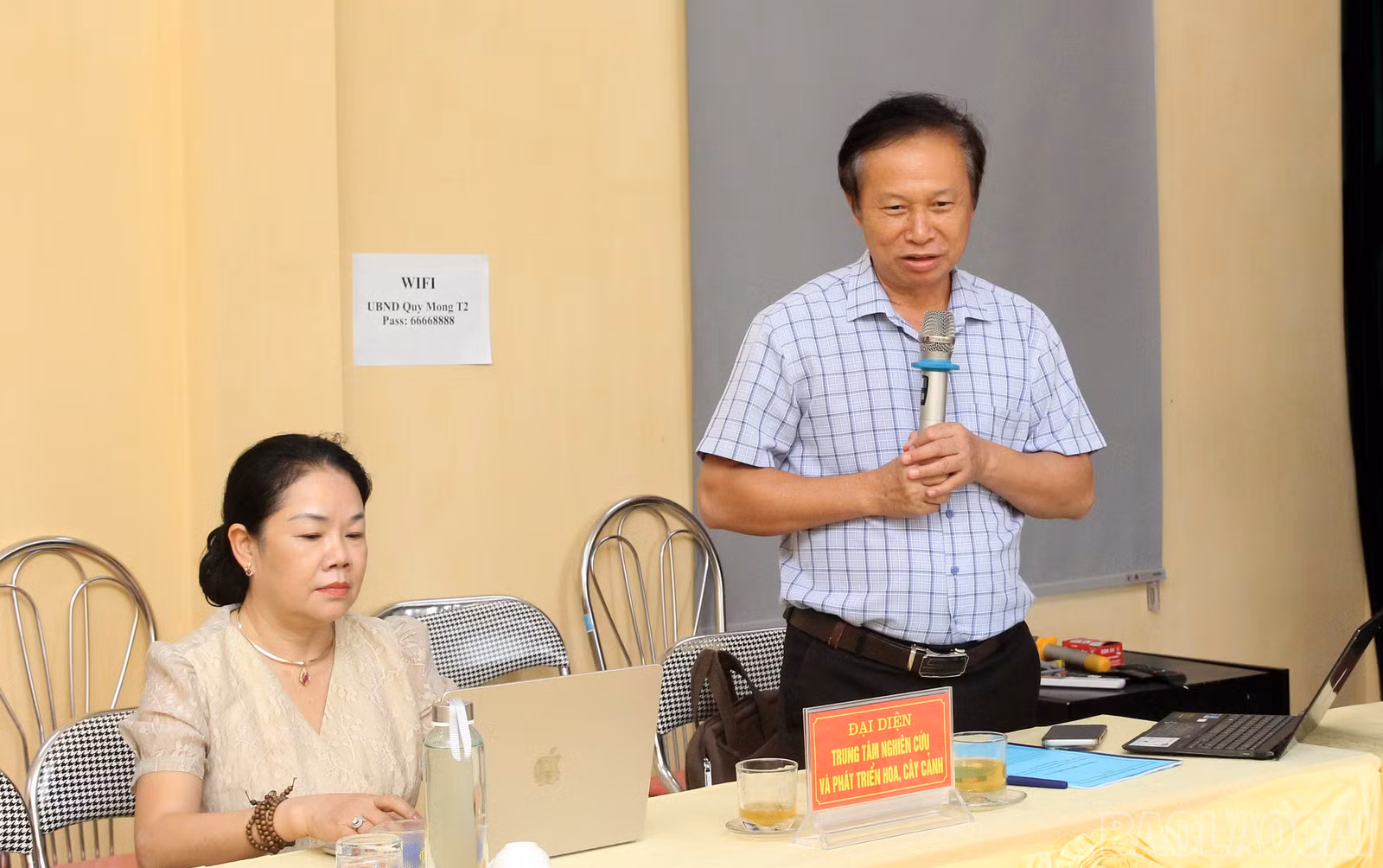 baolaocai-br_img-0650.jpg