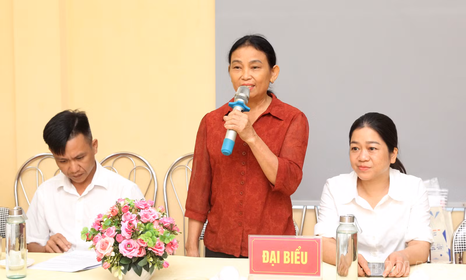 baolaocai-br_img-0654.jpg