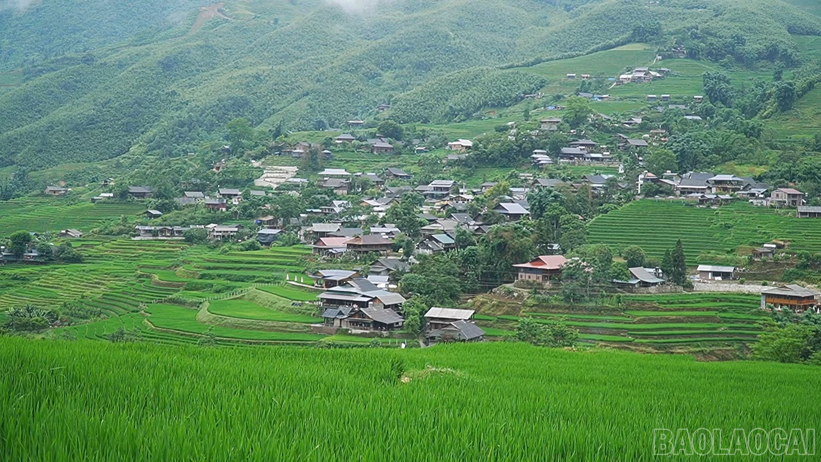 baolaocai-br_sequence-0101-45-19-19still126.jpg
