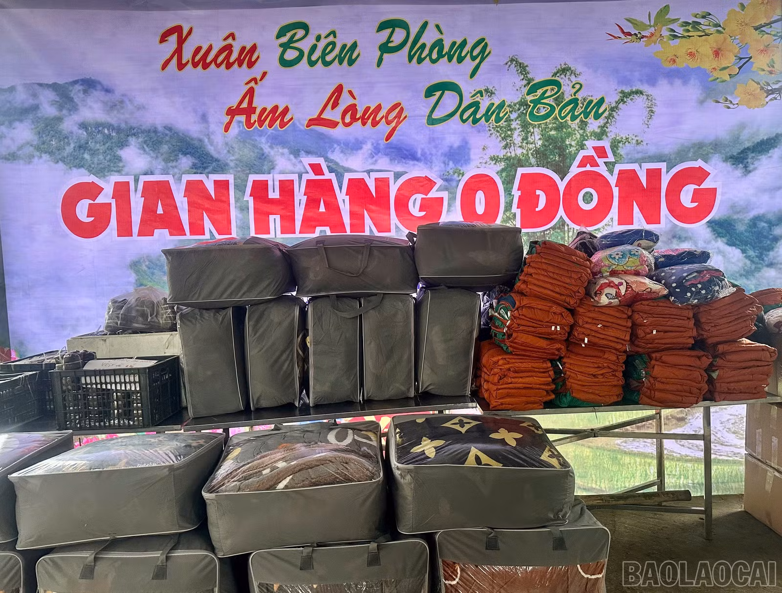 baolaocai-br_z7483890910867-b1dc89d93c0a850540d762a42fe7c8c6.jpg