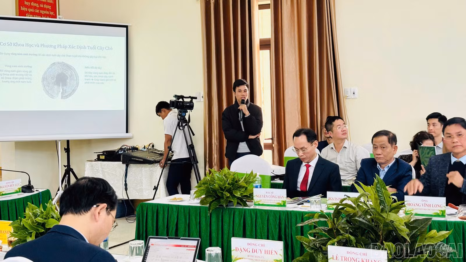 baolaocai-br_e083759d16629a3cc373.jpg