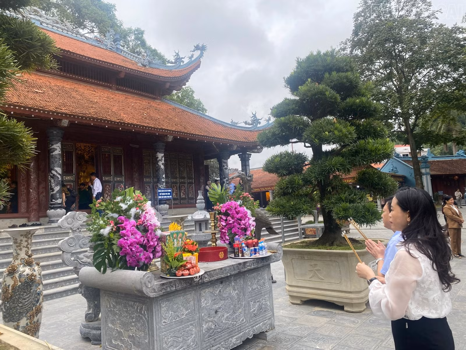 baolaocai-tr_z7151649476663-552adc6a6fe564370935e66cf70bf4ac.jpg