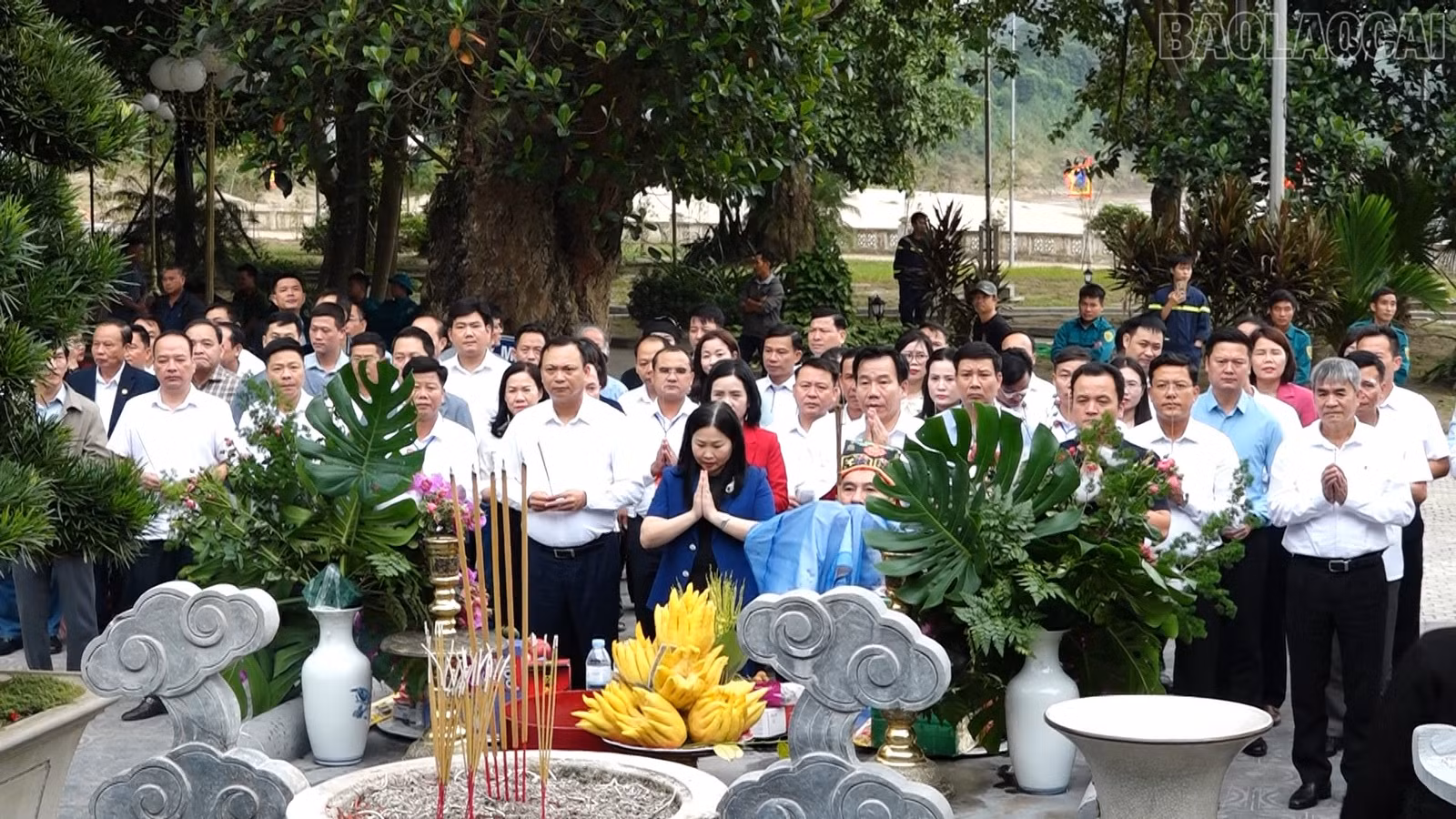 baolaocai-tr_anh-1.png