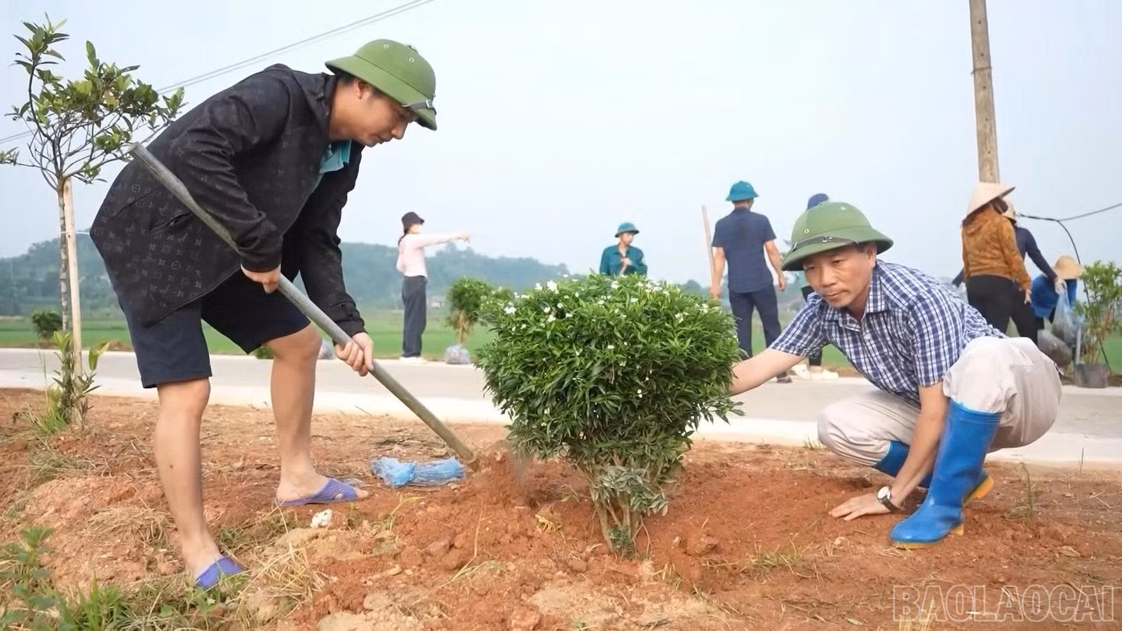 baolaocai-br_z7371179459218-d9d53582ae9fd618f4d93e05b4c0ddcf.jpg