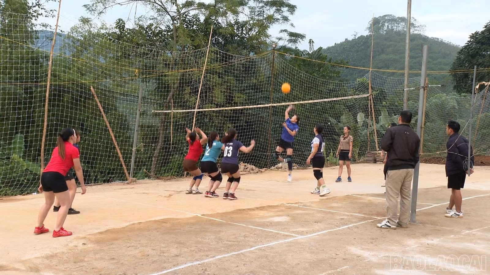 baolaocai-br_z7371180893585-2d1d72230f23849eaf078581b8907006.jpg