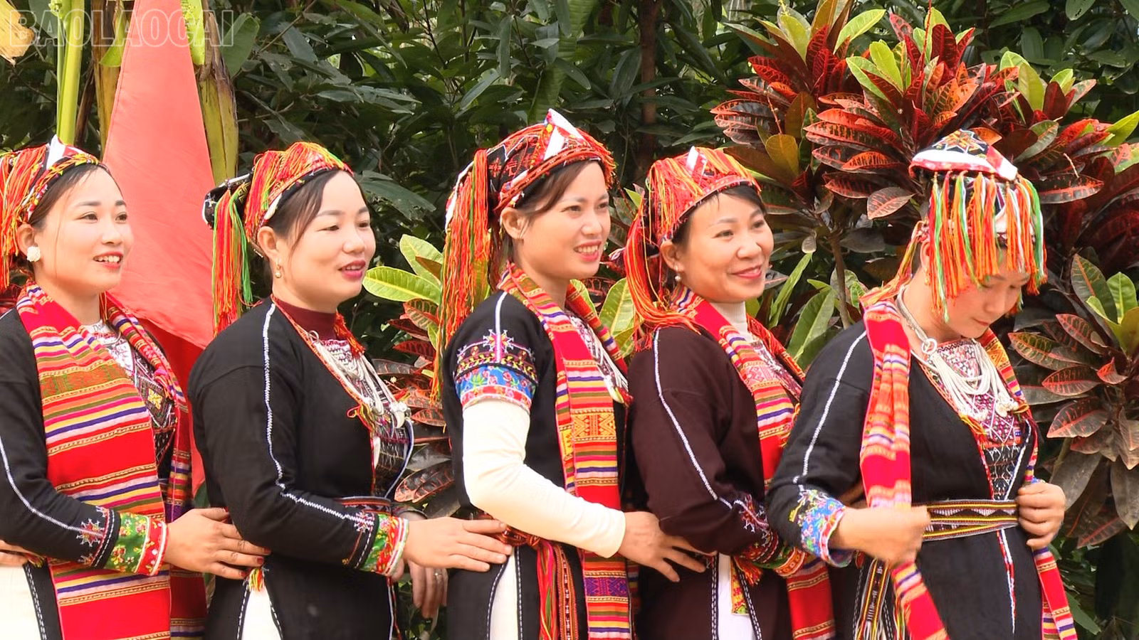 baolaocai-tl_nguoi-dao-khe-loong.png