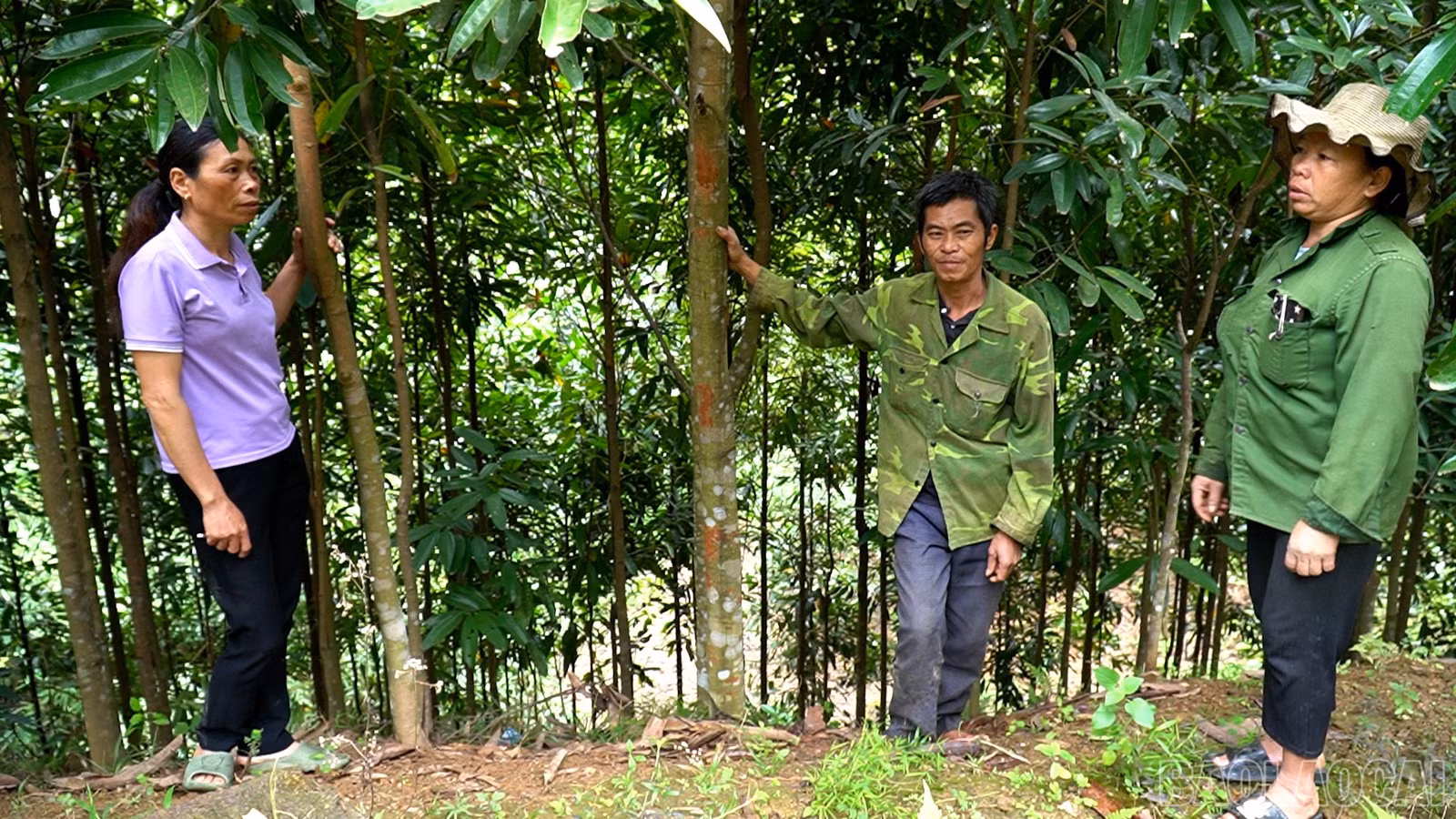 baolaocai-br_anh-2.jpg
