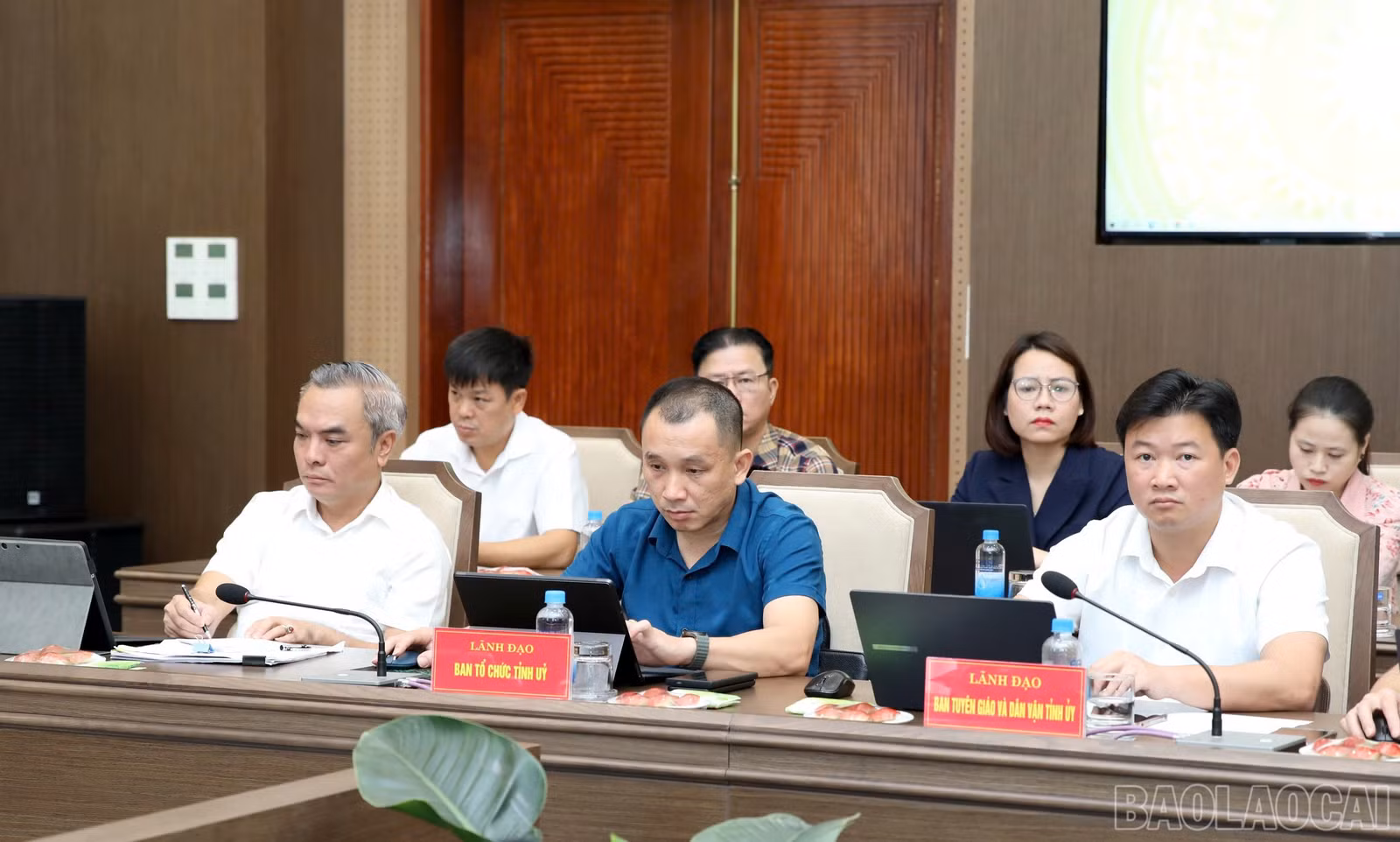 baolaocai-br_z8072011119032-18122c6812388eb63a02c6d890ac8c74.jpg