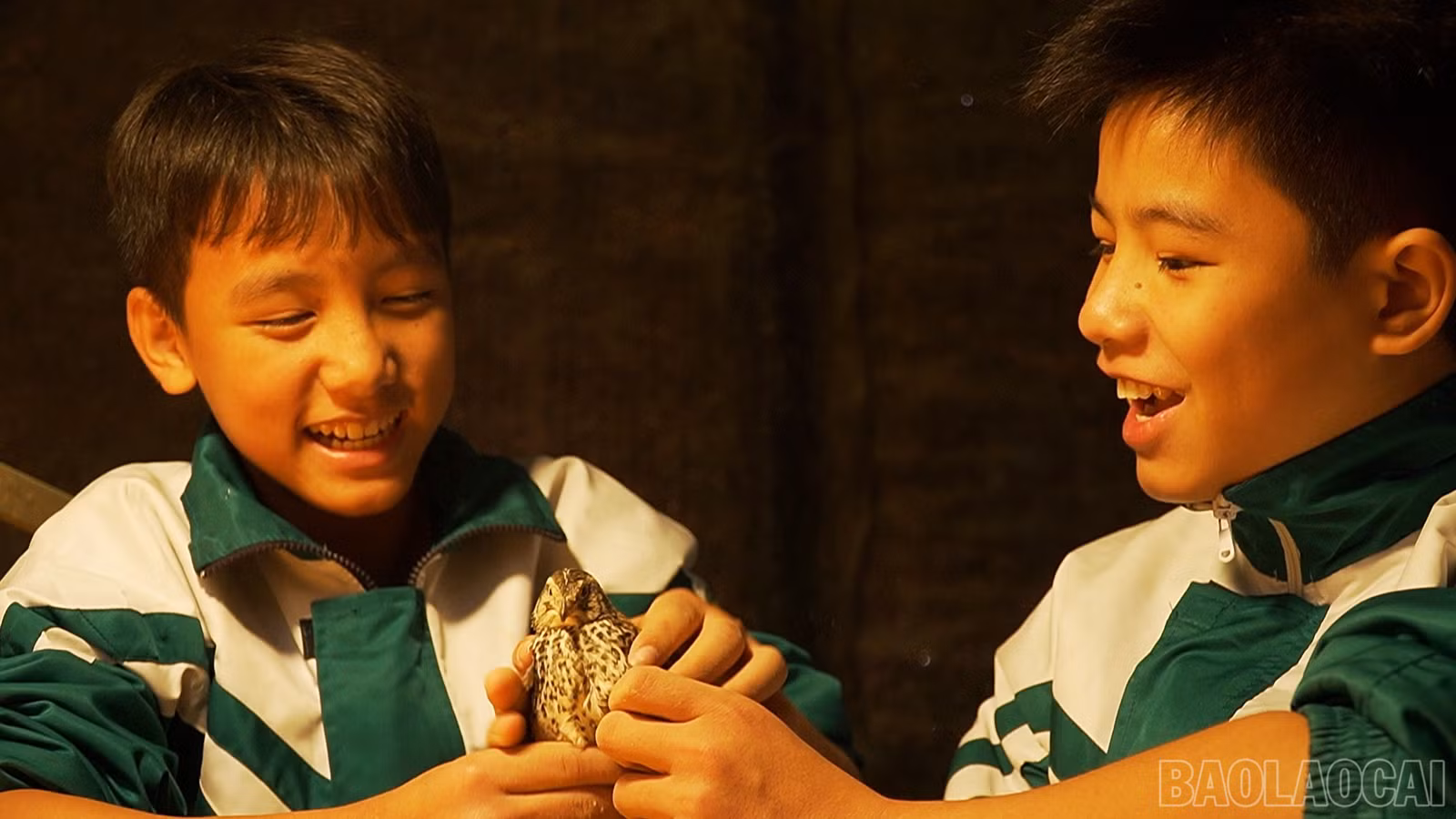 baolaocai-br_dung-ps00-15-31-14still134.jpg