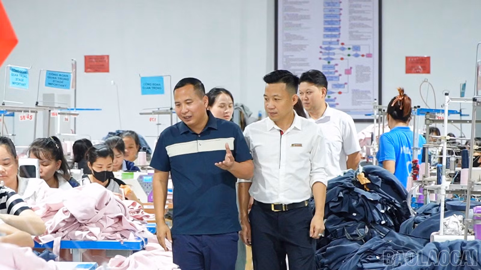 baolaocai-br_1790861679456-6599454063534379573-6599454063534379573-32568d523af3b0155efa59e7efcb09e4.jpg