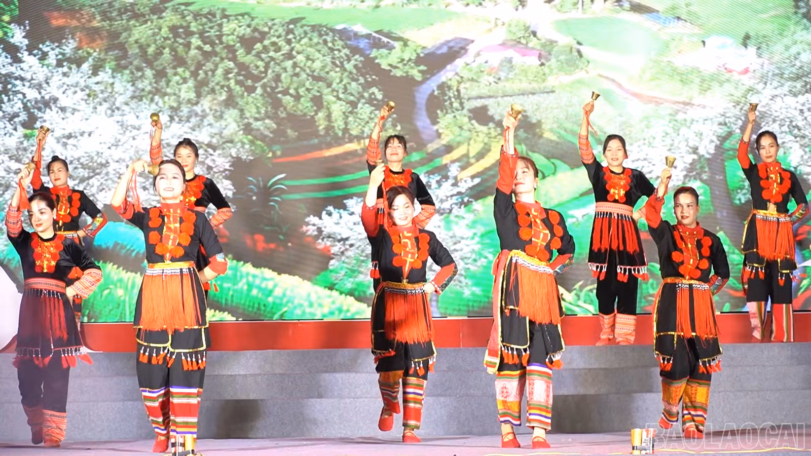 baolaocai-br_mua-chuong-nguoi-dao.png