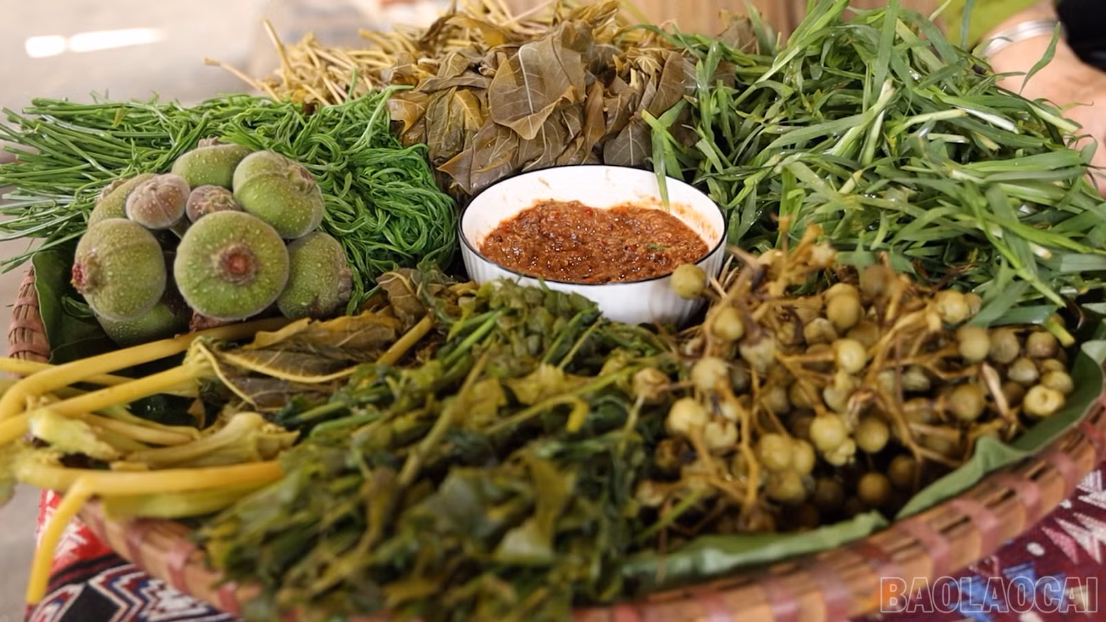baolaocai-br_lk107423-la-vi-rau-cua-nguoi-thai-muong-lo-hdmp4-snapshot-0052652.png