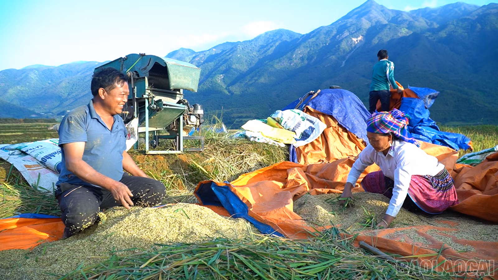 baolaocai-br_c0024mp4-snapshot-0001107.png